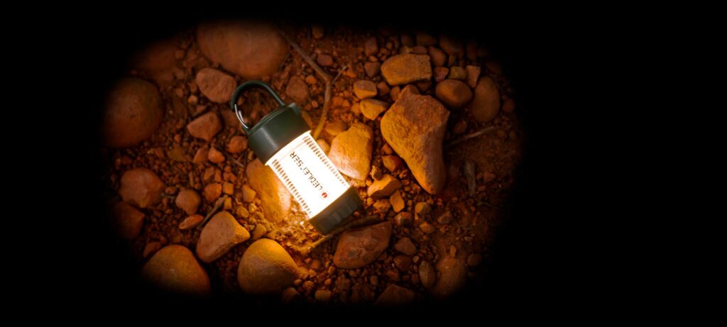 ML4 Warm Green website banner 004