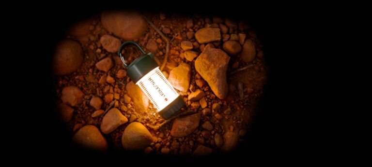 Blog 26 ML4 Warm Green website banner 004